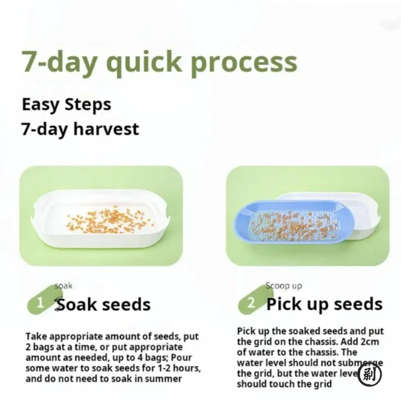 Hydroponic Cat Grass Box