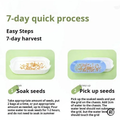 Hydroponic Cat Grass Box