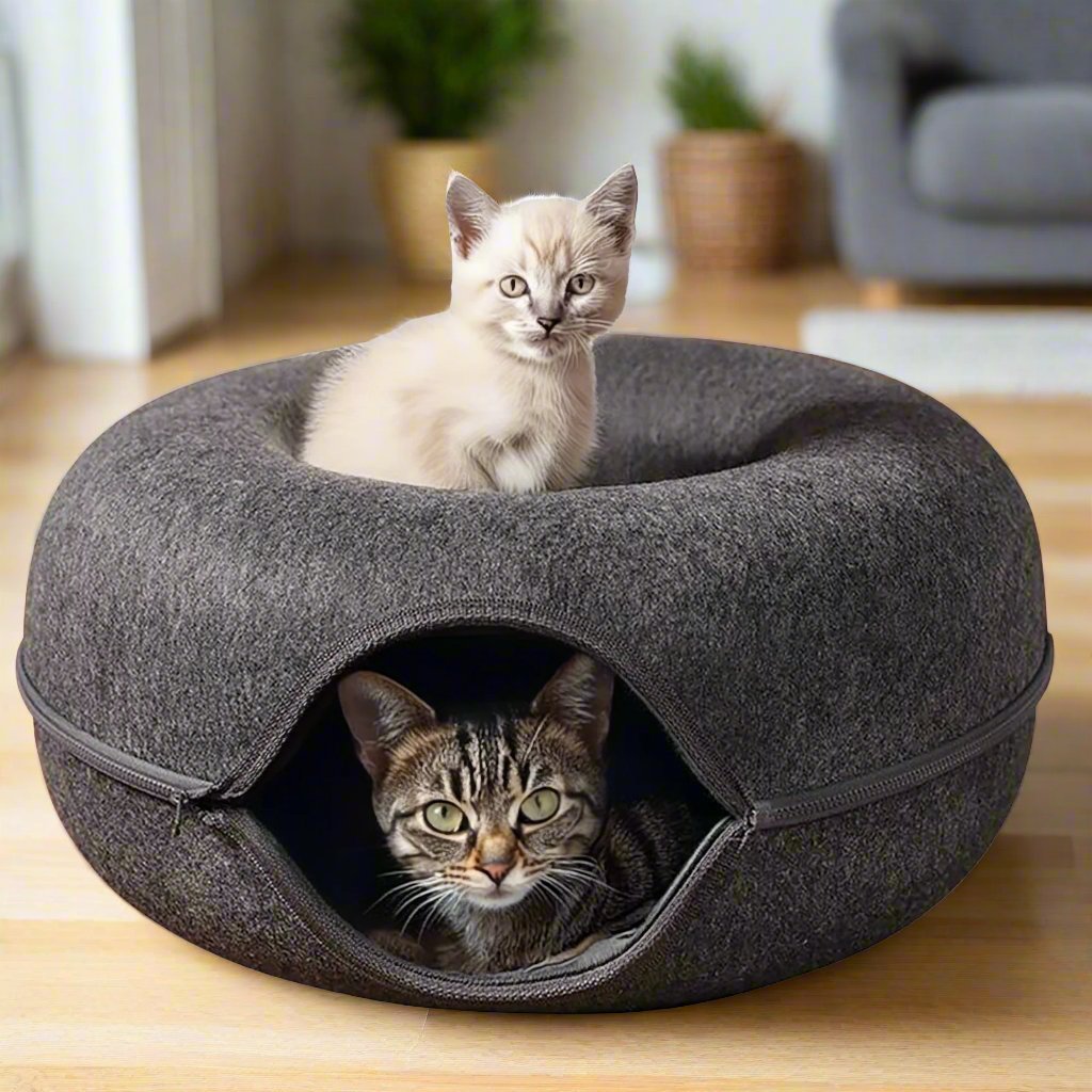 Peekaboo - Cat Donut