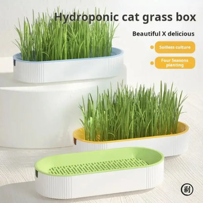 Hydroponic Cat Grass Box