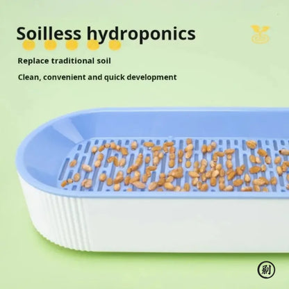 Hydroponic Cat Grass Box