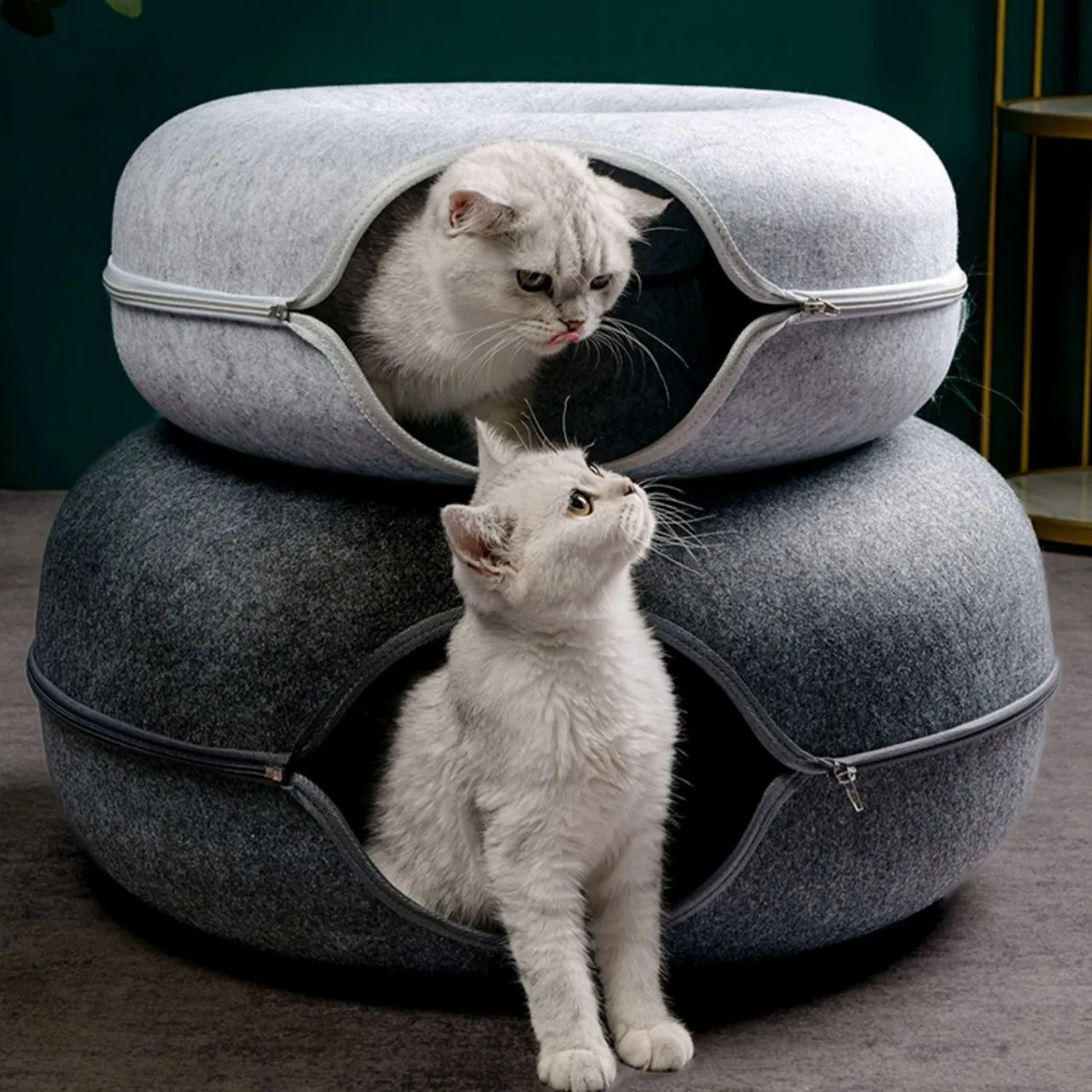 Peekaboo - Cat Donut